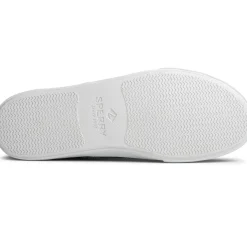 Men's Sperry, Striper II CVO Sneaker