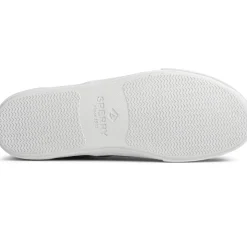 Men's Sperry, Striper II CVO Sneaker