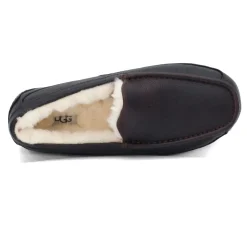 Men's Ugg, Ascot Slipper
